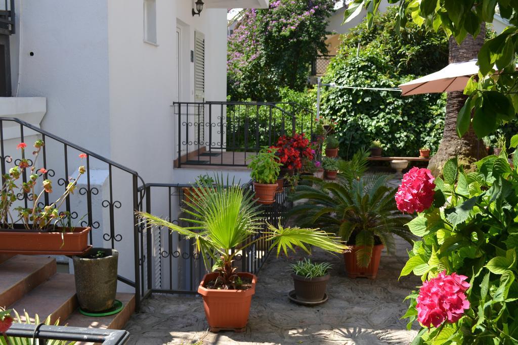 Apartments Luka Budva Exterior photo